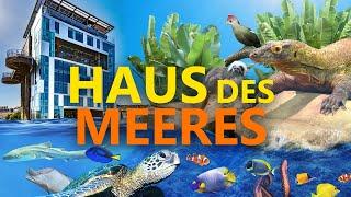 Haus des Meeres (Wien) - Ein ganz besonderes Aquarium | Zoo-Eindruck