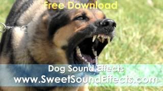 Dog Barking Sound Effects