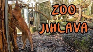 ZOO Jihlava