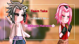 Team Taka/Hebi react to Sakura Haruno | [1/2] | Sasusaku | —K a y a—