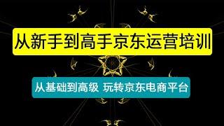 从新手到高手京东运营培训：从基础到高级 玩转京东电商平台