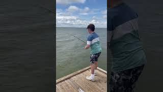 Kid catches smallest sheepshead ever #fishinglife #sheepshead #kidsfishing #outdoorkids #texasfish