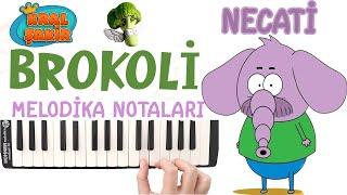 Kral Şakir - NECATİ BROKOLİ Melodika Notaları - Melodika Şarkıları