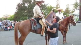 Dancing Horses @ 2016 FFA Twilight Parade, Healdsburg, CA 5-26-16