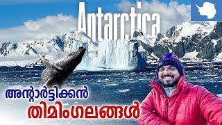 Antarctica  #6 - ഇത് ഭൂമിയോ അന്യഗ്രഹമോ | അന്റാർട്ടിക്കൻ യാത്ര | Antarctic Expedition