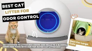 Best Cat Litter Box for Odor Control 2023 | Cat Litter Smell Hacks