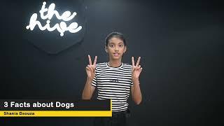 The Hive Explains - 3 Facts about Dogs by Shania Dsouza