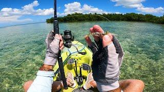 Fishing For Grey Ghosts - Ultra Clear Water Flats Fishing The Florida Keys