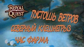 Royal Quest - #24/1 час фарма/Северные земли/Пустошь ветров