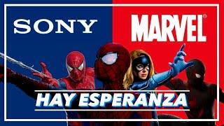 Hay ESPERANZA para el Universo Cinematográfico de SPIDER-MAN de SONY PICTURES