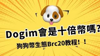 $Dogim 會是下一個十倍幣嗎？ 狗狗幣Doginals（Drc20）生態項目 dogex.me買賣教程，Dpalwallet錢包真的挺好用的！！！#dogecoin #Doginals