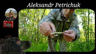 The most POISONOUS SNAKE in Primorsky Krai. The muzzle is not a viper!