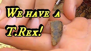 Digging Dinosaurs part 2 - Fossil Hunting the quarry