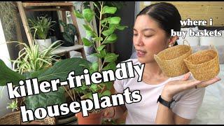 PLANT HAUL | EASY AND LOW MAINTENANCE HOUSE PLANTS (PHILIPPINES)