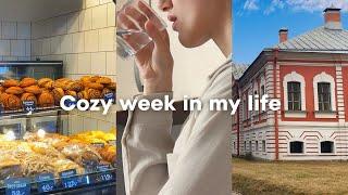 My everyday life in a Northern city | Grocery shopping, cafe and museum tour | Slow living