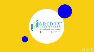 Best Website Development & Digital Marketing Company in Surat - Sridix Technology