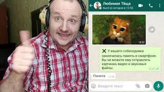 Как отучить родственников и друзей посылать вам в WhatsApp картинки и голосовые сообщения