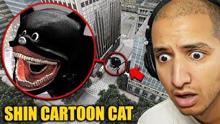 Drone Catches SHIN CARTOON CAT in a City...