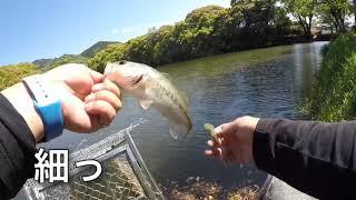 この日ルアーを動かすと釣れませんでした。【福岡県久留米市バス釣り】〜少年バサーと一問一答的会話【メガバス　NEWデストロイヤー 発売】