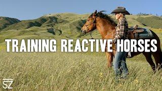 Chaos to Calm: How to Train with Reactive Horses