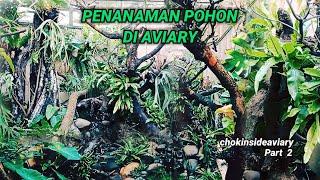 Penanaman Pohon di Aviary mini (Part 2) | Episode 26