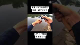 【過去動画】横浜河川バスフィッシング！【切り抜き】#shorts