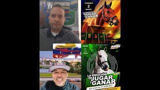 HIPISMO PROFESIONAL  DOMINGO 02/03/2025