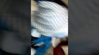 Алижан