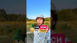 Что это означает? #история #русскийязык #богатырь