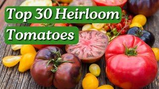 30 Tastiest Heirloom Tomatoes to Grow in Australia | Aussie Green Thumb