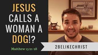 JESUS Calls a Woman a DOG!? | Matthew 15:21-28 | 2BeLikeChrist