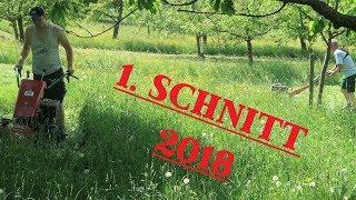 1. SCHNITT 2018 MÄHEN | Köppl, Stihl, Brummi Und Case IH | StreuobstVLOG #28