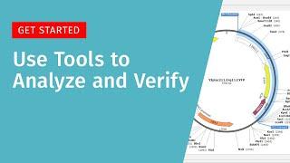 Getting Started: Use Tools to analyze and verify in SnapGene