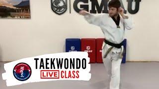 Taekwondo Basic Punching & Kicking LIVE Class