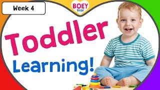 Educational Videos for Toddlers | 2 year old, 3 year old, 4 year old Learning Videos with Boey Bear