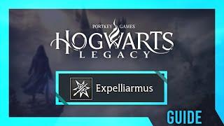 Professor Hecat's Assignment 2 | Hogwarts Legacy Guide & Walkthrough