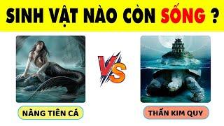 Chỉ 13% Học Sinh Giỏi Toàn Diện Có Trí Tuệ Siêu Phàm Mới Biết Hết 15 Câu Đố Này | Nhanh Trí