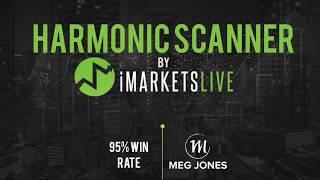 IML Harmonic Scanner for Beginners - By Meg Jones