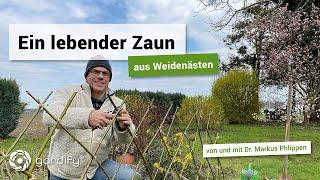 Lebender Weidenzaun – schnell selbst gemacht | gardify Tipps