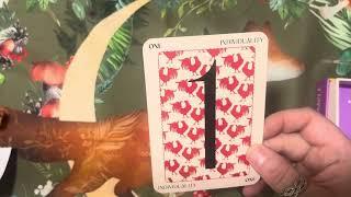 Numerology Oracle walkthrough / review ️#oracledeck #oraclewalkthrough