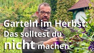 Herbst im Garten: Das solltest du NICHT machen