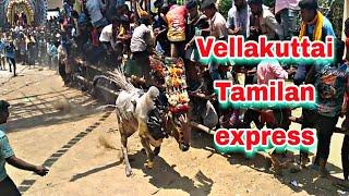 ||vellakuttai Tamilan express ||kannikapuram street ||29/3/2023 ||TAMIZH ROCK ||