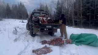 Canadian Trapline Diaries Part 9 Operation Wolf Bait  !