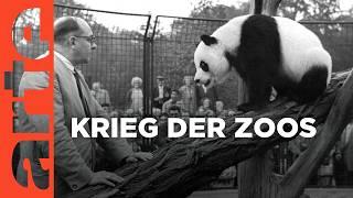 Berlin - Kalter Krieg der Zoos | Doku HD | ARTE