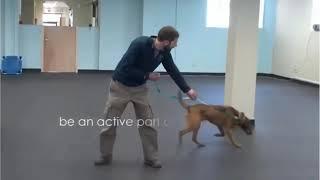 Marker Training & Leash Pressure Part 2