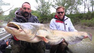 PESCA AL SILURO: SPINNING SUL FIUME SECCHIA - HD by CATFISHING WORLD