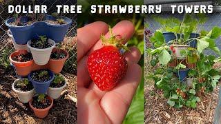 How to Make a Dollar Tree Strawberry Tower | Grow Strawberries Vertically in a DIY Stackable Planter