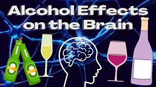 Alcohol Effects on the Brain