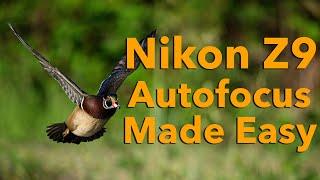 Nikon Z9 Autofocus Made Easy