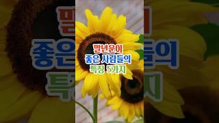 말년운이 좋은 사람들의 특징5가지#명언#좋은글#지혜#인생조언